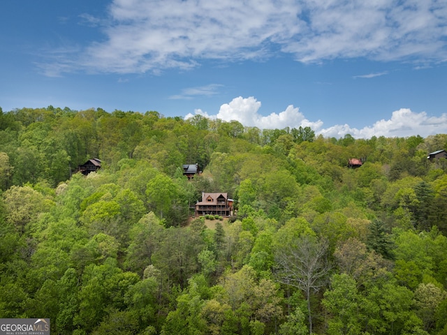 aerial view with a view of trees