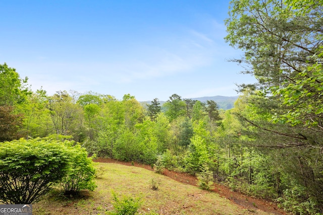 view of landscape with a wooded view