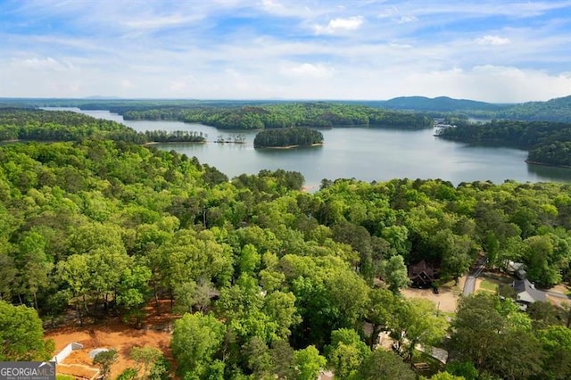 birds eye view of property featuring a water view and a forest view