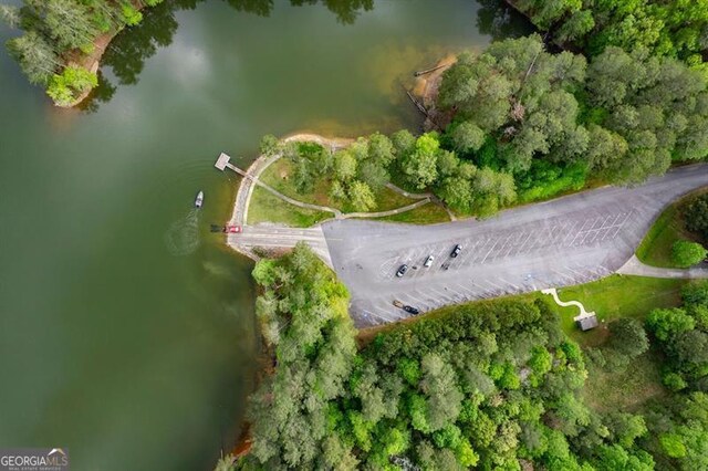 15 Swallow Dr, White, GA 30184 - aerial overview of property's location with a nearby body of water