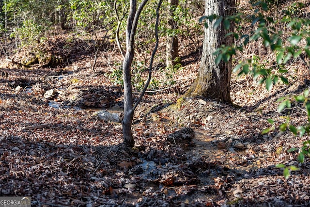 30 The Forest Rd, Blue Ridge, GA 30513 - view of local wilderness