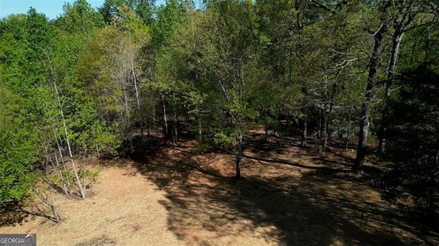 479 Lakeview Dr, Dahlonega, GA 30533 - view of landscape with a forest view