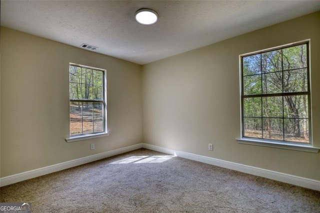 479 Lakeview Dr, Dahlonega, GA 30533 - carpeted spare room featuring baseboards, a textured ceiling, visible vents, and plenty of natural light