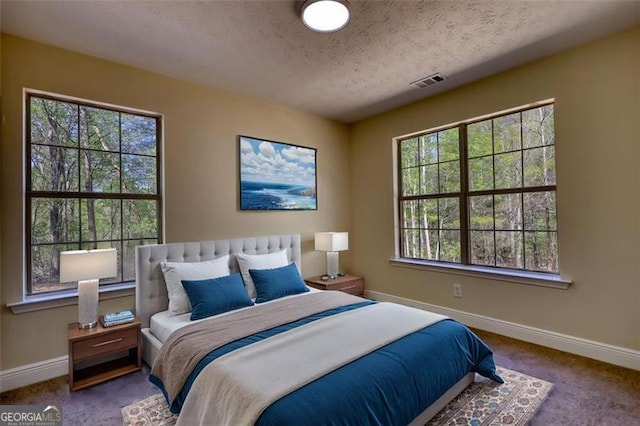 479 Lakeview Dr, Dahlonega, GA 30533 - bedroom with baseboards, carpet floors, multiple windows, and visible vents