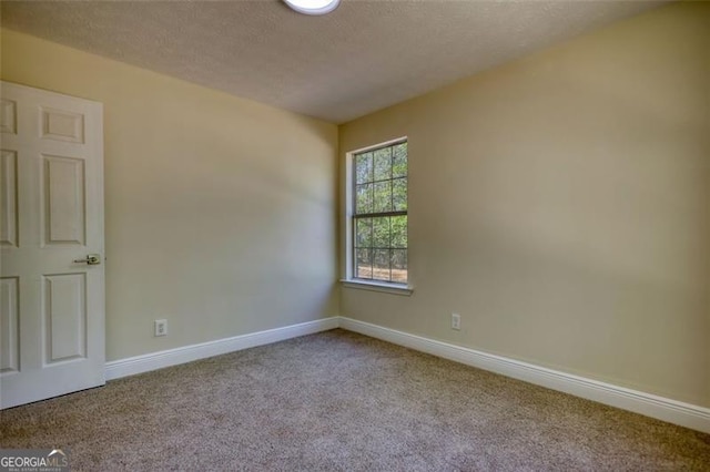 479 Lakeview Dr, Dahlonega, GA 30533 - empty room featuring carpet floors, a textured ceiling, and baseboards