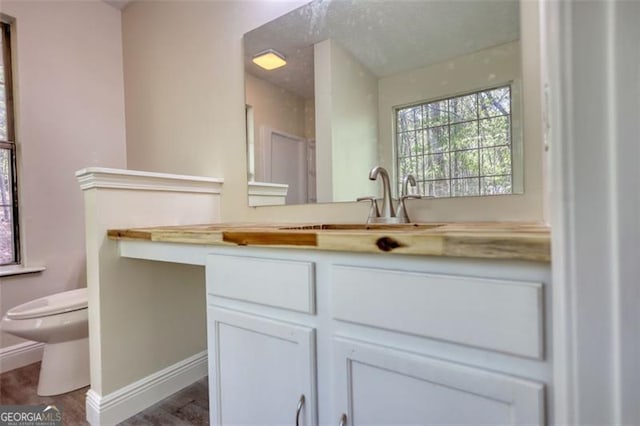 479 Lakeview Dr, Dahlonega, GA 30533 - bathroom featuring toilet, vanity, wood finished floors, and baseboards