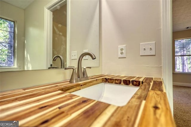 479 Lakeview Dr, Dahlonega, GA 30533 - details with carpet, baseboards, and a sink