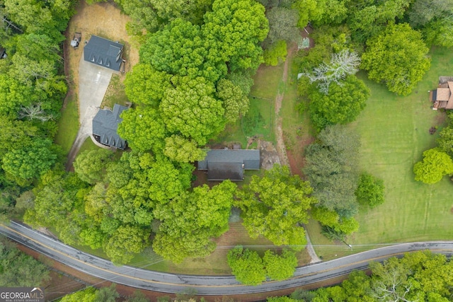 bird's eye view