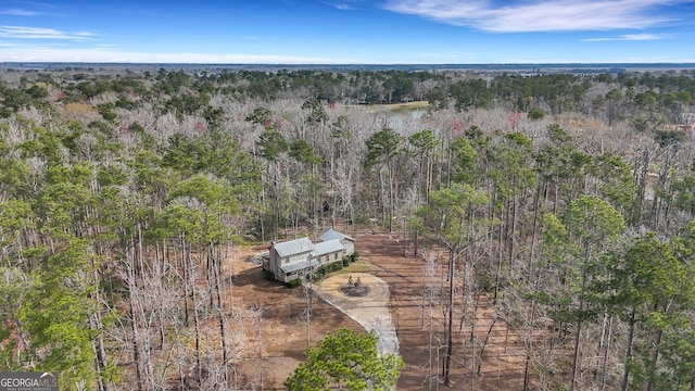590 Dogwood Way, Richmond Hill, GA 31324 - aerial view featuring a view of trees