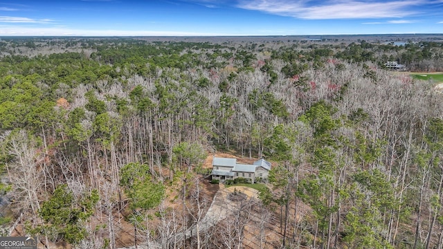590 Dogwood Way, Richmond Hill, GA 31324 - aerial view featuring a view of trees