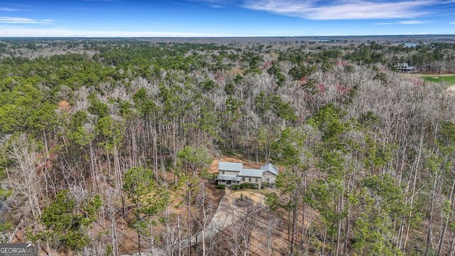 590 Dogwood Way, Richmond Hill, GA 31324 - bird's eye view with a wooded view