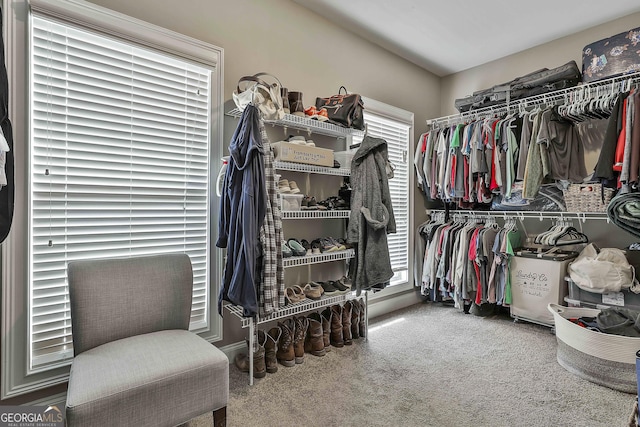 237 Northgate Preserve Dr, Newnan, GA 30265 - walk in closet featuring carpet floors