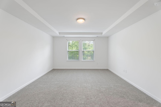 1953 Azure Grove Ct, Marietta, GA 30008 - unfurnished room with a raised ceiling, carpet, and baseboards