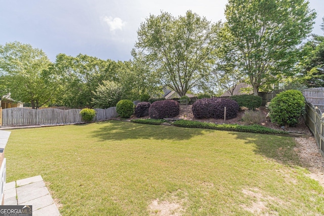 view of yard with a fenced backyard
