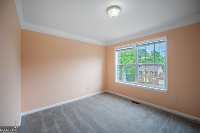 spare room with crown molding, baseboards, and carpet flooring