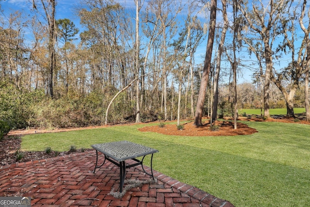 192 Myrtle Grove Ln, Richmond Hill, GA 31324 - view of yard featuring a patio