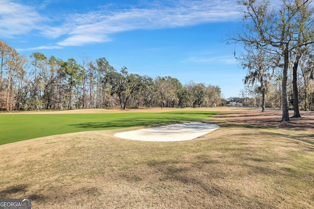 192 Myrtle Grove Ln, Richmond Hill, GA 31324 - view of community featuring a lawn and golf course view
