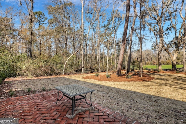 192 Myrtle Grove Ln, Richmond Hill, GA 31324 - view of property's community with a patio