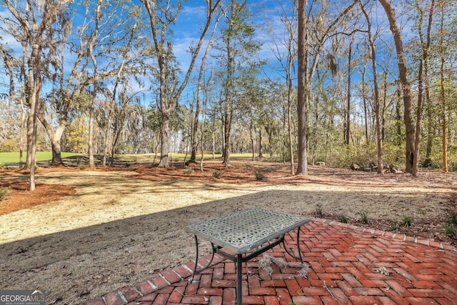 192 Myrtle Grove Ln, Richmond Hill, GA 31324 - view of patio