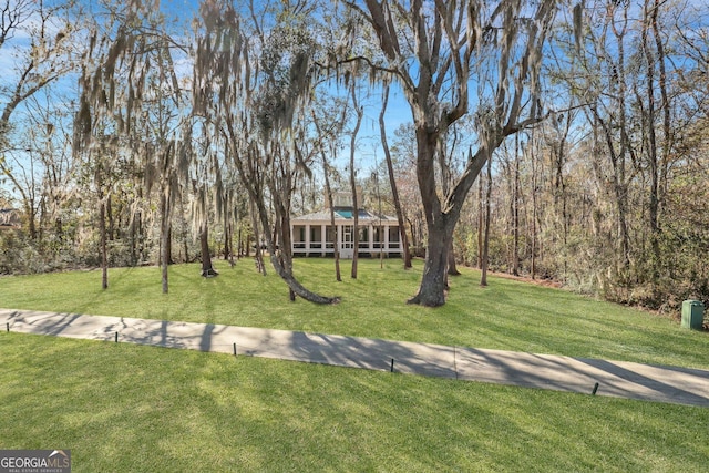 192 Myrtle Grove Ln, Richmond Hill, GA 31324 - view of yard