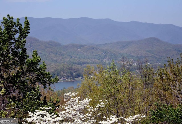 62 Eagles View Ct, Hayesville, NC 28904 - view of mountain backdrop with a heavily wooded area and a large body of water