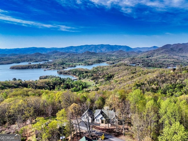 62 Eagles View Ct, Hayesville, NC 28904 - drone / aerial view of a water and mountain view and a forest