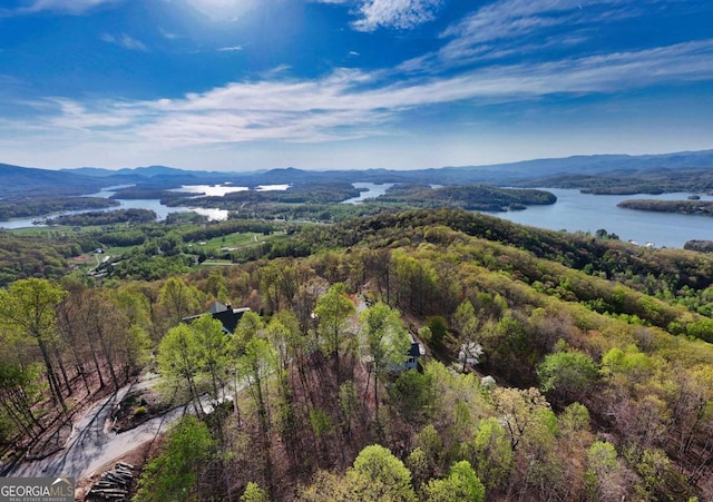62 Eagles View Ct, Hayesville, NC 28904 - drone / aerial view of a water and mountain view and a heavily wooded area