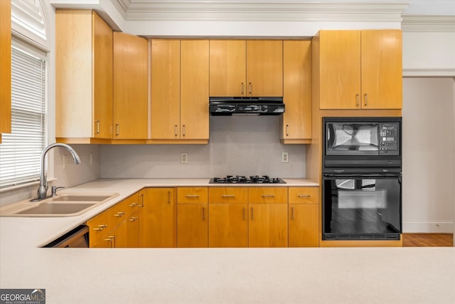 5510 Conway Dr, Marietta, GA 30068 - kitchen with under cabinet range hood, a sink, black appliances, and light countertops