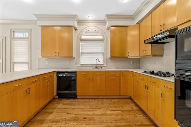 5510 Conway Dr, Marietta, GA 30068 - kitchen with crown molding, light wood-style floors, under cabinet range hood, a sink, and black appliances