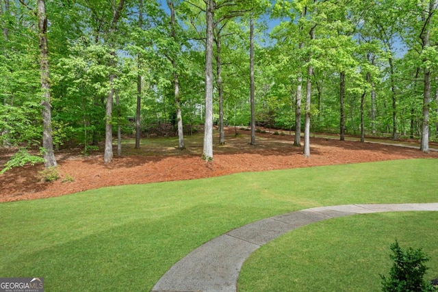 1400 Squire Ln, Cumming, GA 30041 - view of yard