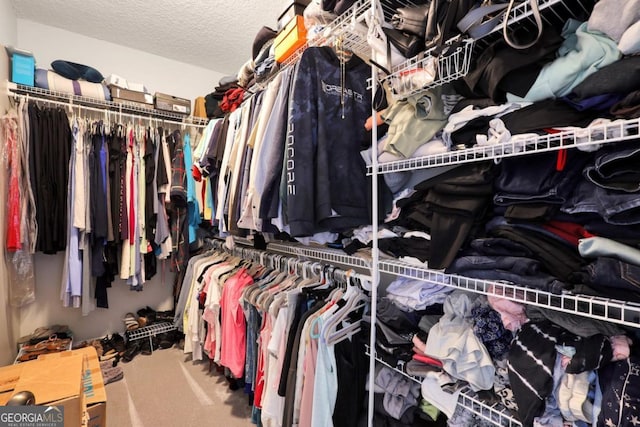 277 Cinder Hill Dr, Brunswick, GA 31523 - walk in closet with carpet floors