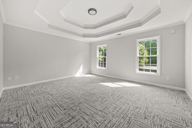 990 Lilac Arbor Rd, Dacula, GA 30019 - spare room with crown molding, carpet flooring, a raised ceiling, and visible vents