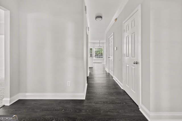 990 Lilac Arbor Rd, Dacula, GA 30019 - corridor with baseboards, ornamental molding, and dark wood finished floors