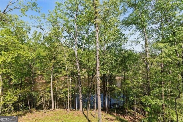 view of landscape featuring a wooded view
