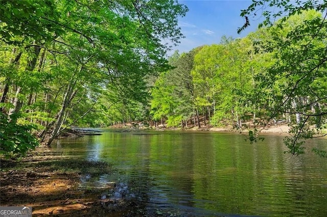 water view featuring a view of trees