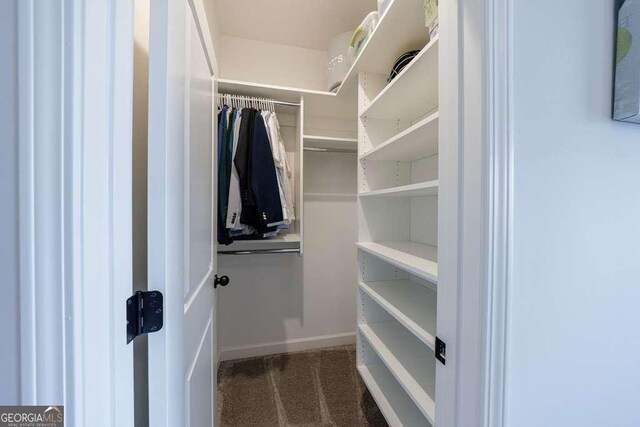 4405 Croftshire Pl, Cumming, GA 30040 - view of spacious closet