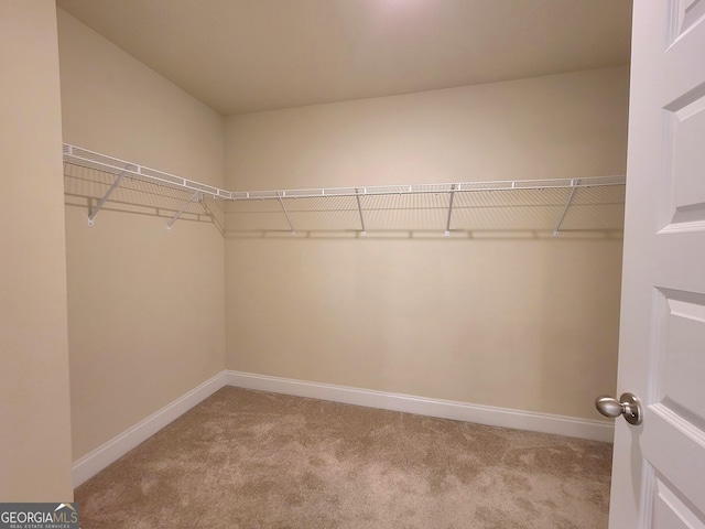 walk in closet with carpet floors