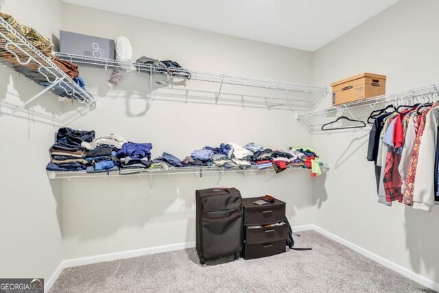 128 Clearwater Dr, Brunswick, GA 31523 - walk in closet featuring carpet flooring