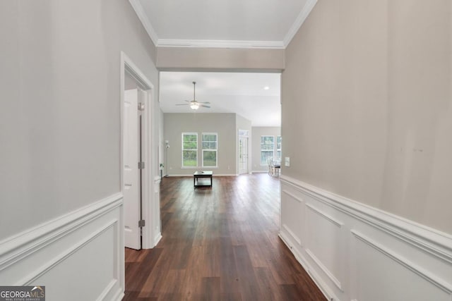 128 Clearwater Dr, Brunswick, GA 31523 - hall featuring wainscoting, dark wood-type flooring, and ornamental molding