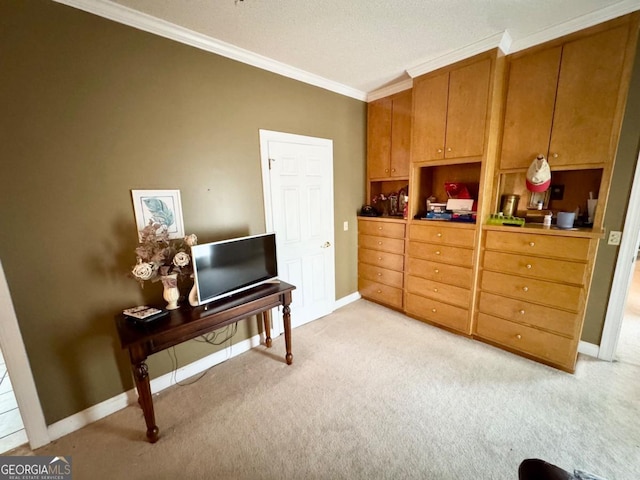 357 Douglas Hwy, Ocilla, GA 31774 - interior space featuring baseboards, crown molding, and light colored carpet