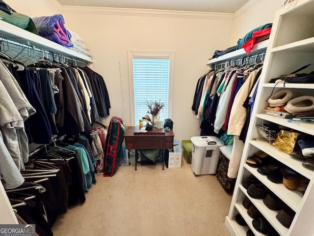 357 Douglas Hwy, Ocilla, GA 31774 - spacious closet featuring carpet floors