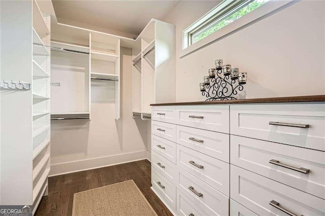 1059 Antioch Dr, Brookhaven, GA 30319 - walk in closet with dark wood-style flooring