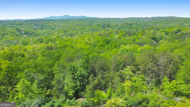 988 Hunters Rdg, Jasper, GA 30143 - bird's eye view with a mountain view and a wooded view