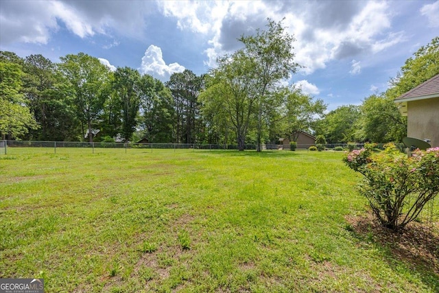 1087 Forsyth Landing Dr, Forsyth, GA 31029 - view of yard