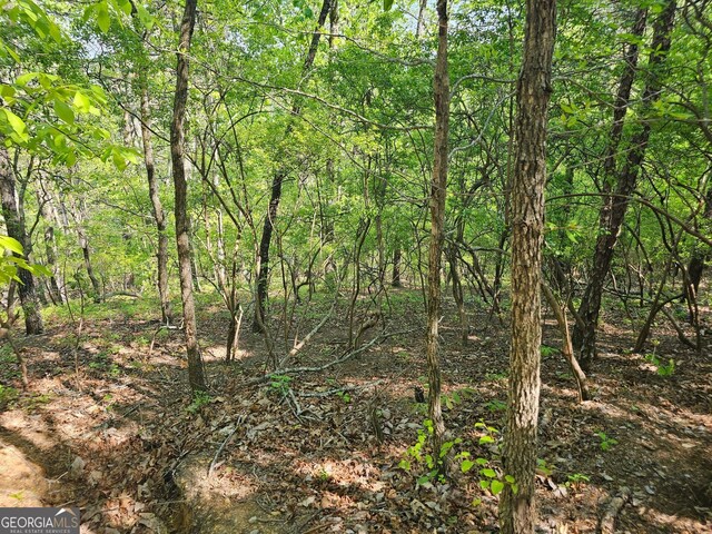 391 Meteor Ct NE, Ranger, GA 30734