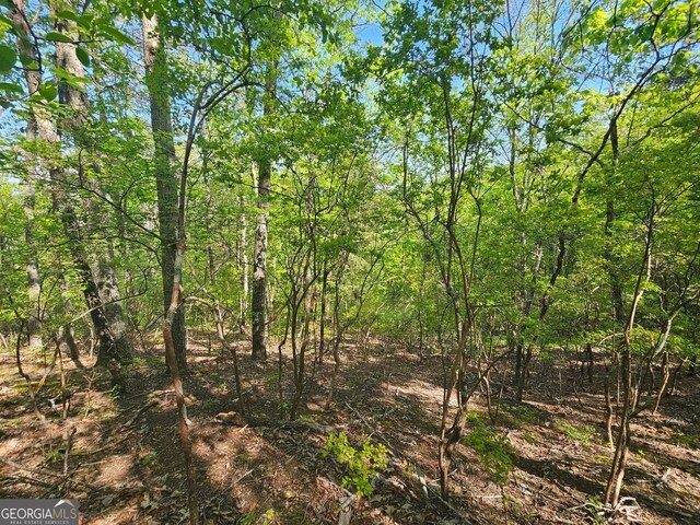 391 Meteor Ct NE, Ranger, GA 30734
