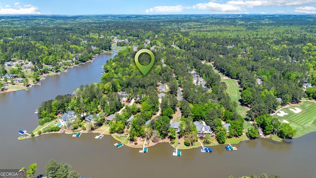1010 Troon Ct, Greensboro, GA 30642 - drone / aerial view with a view of trees, golf course view, and a water view