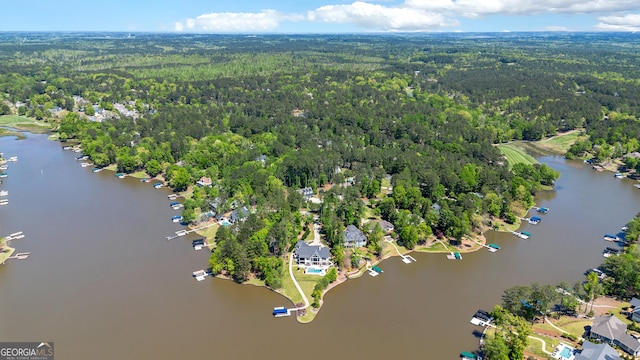 1010 Troon Ct, Greensboro, GA 30642 - birds eye view of property with a wooded view and a water view