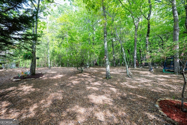 view of yard featuring a forest view
