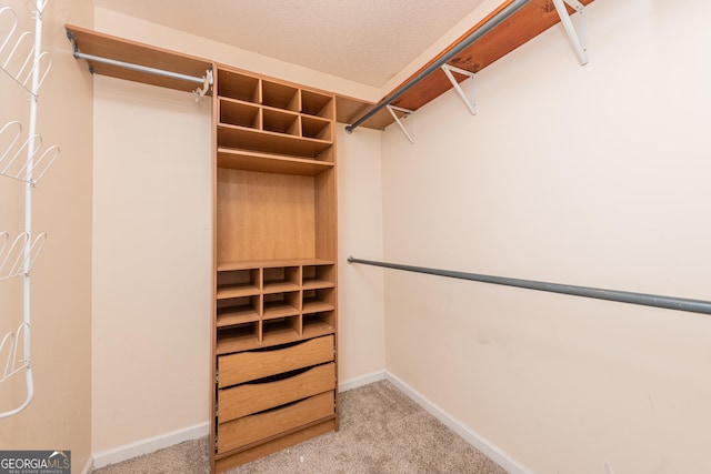 spacious closet featuring carpet floors